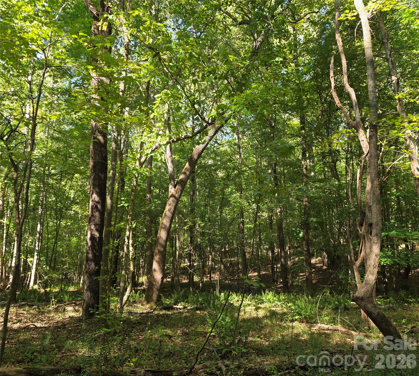 552 Midway Road Property Photo 31