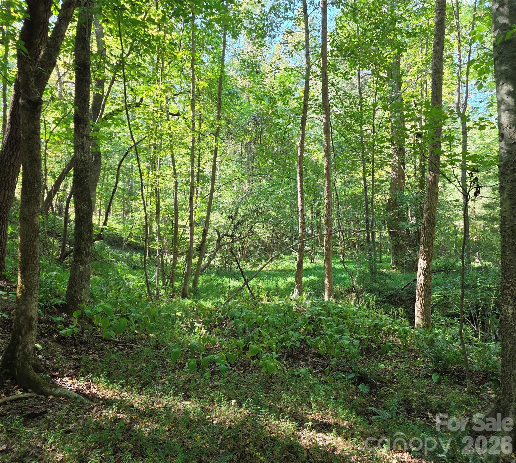 552 Midway Road Property Photo 33