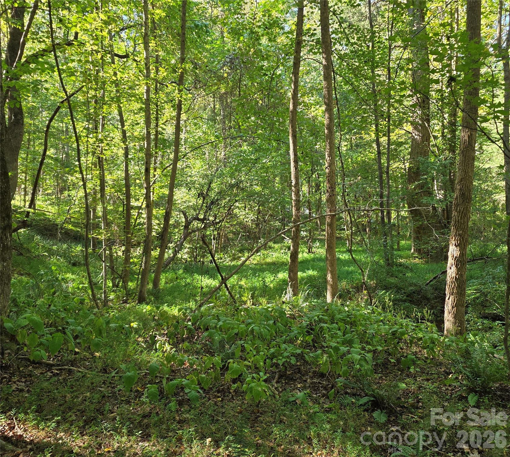 552 Midway Road Property Photo 34
