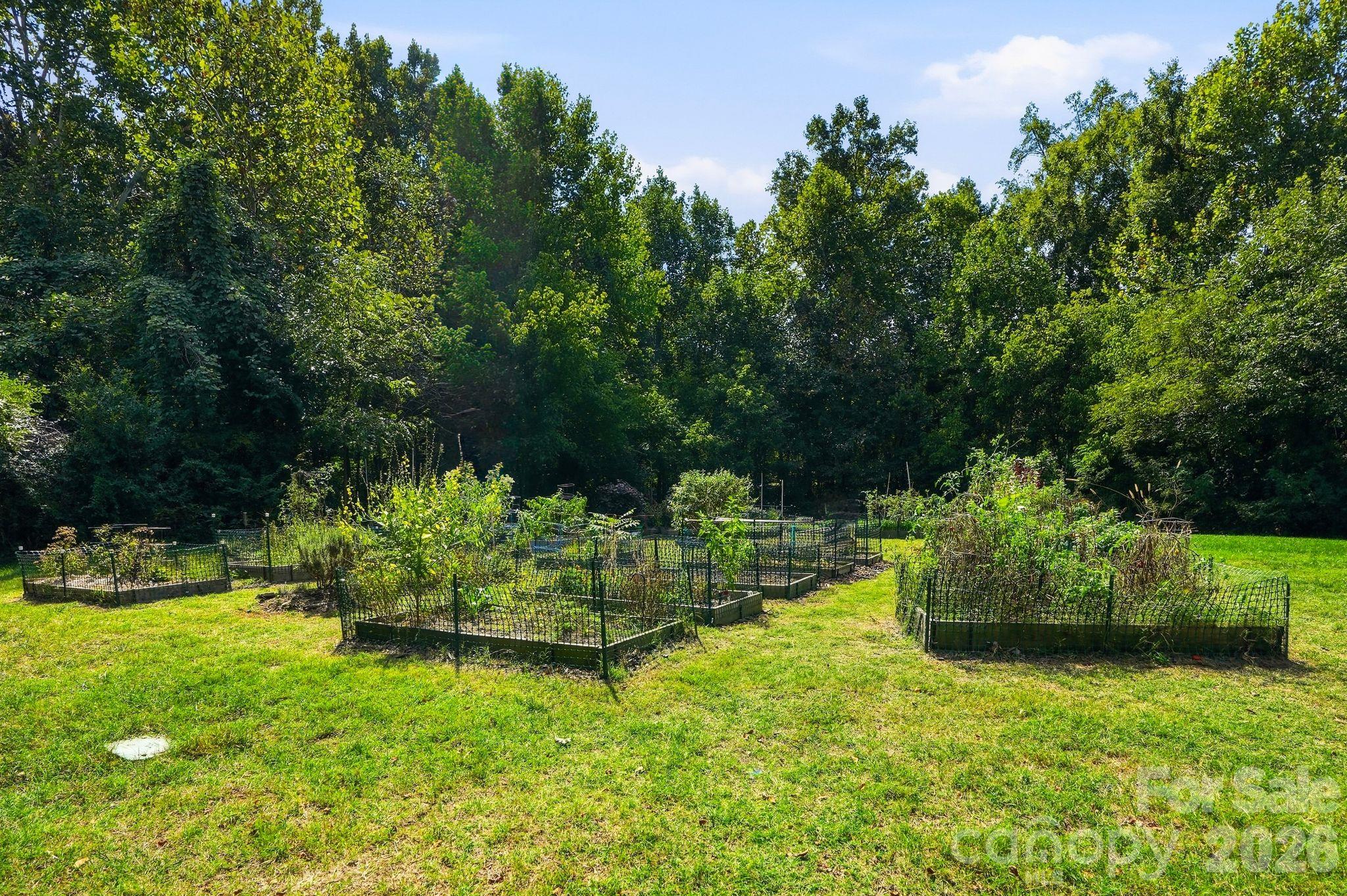 12902 Blakemore Avenue Property Photo 28