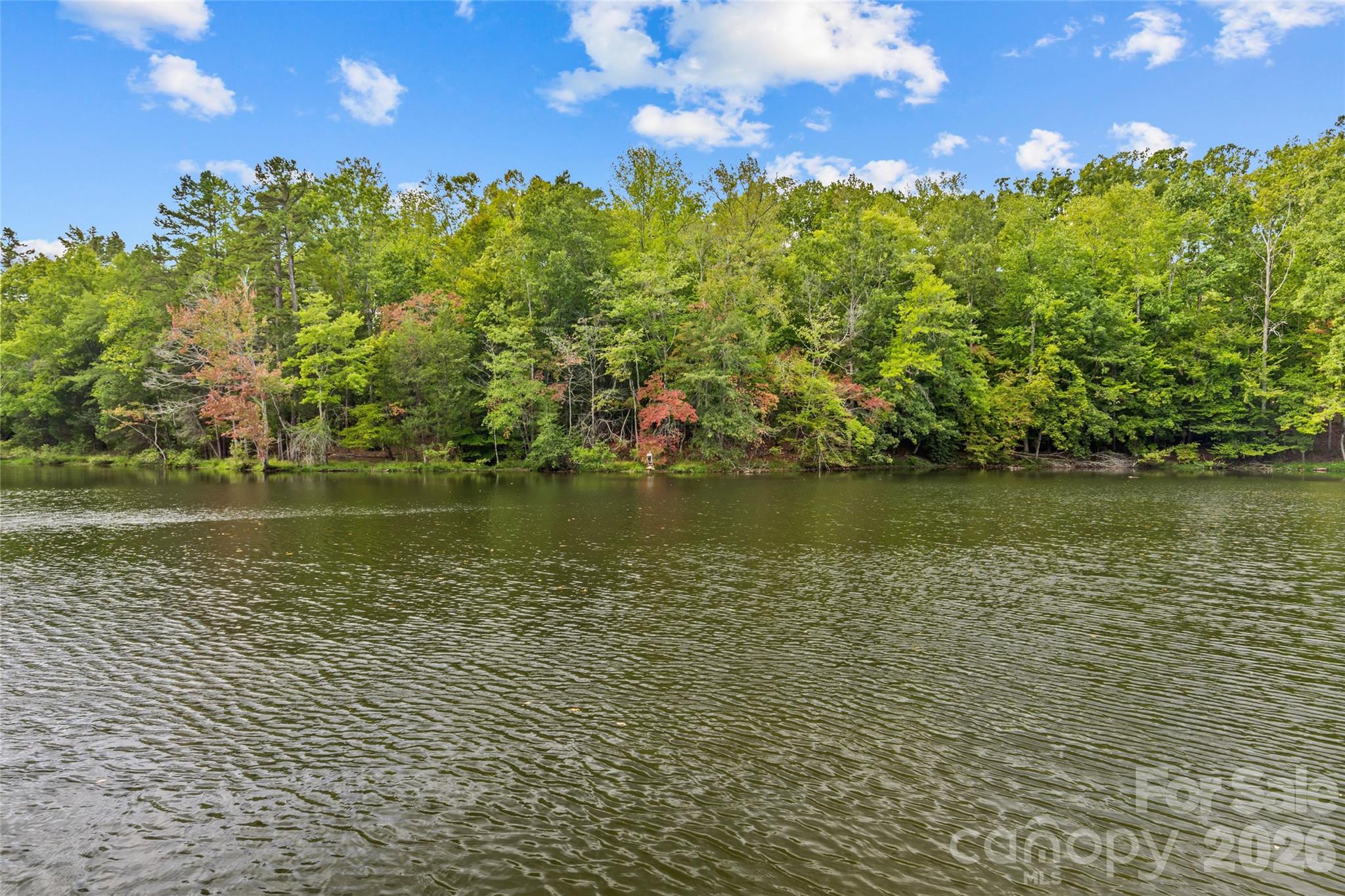 8219 Asher Chase Trail Property Photo 38