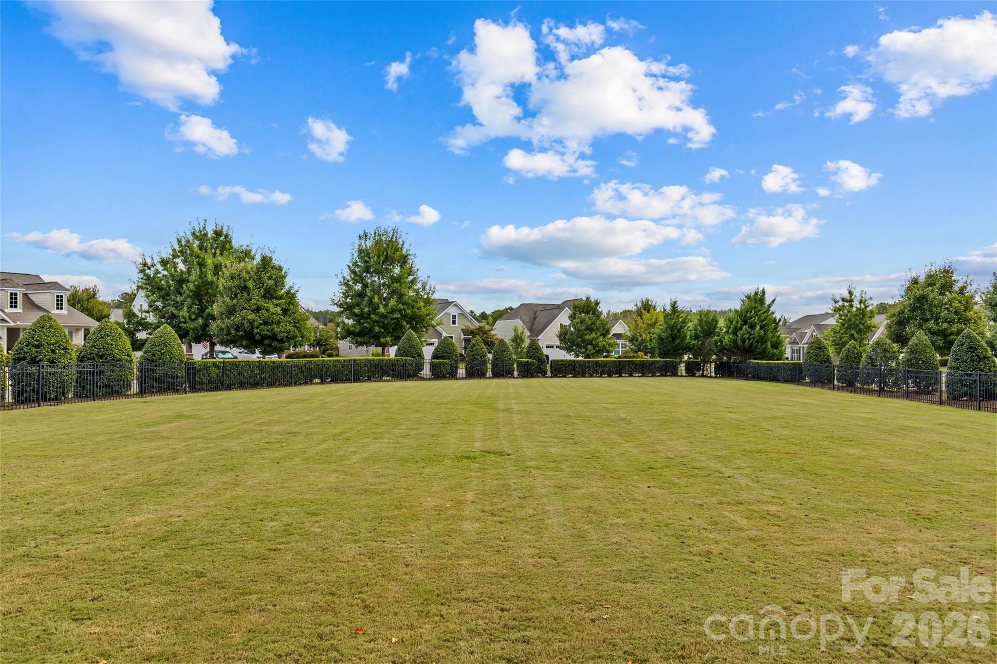 8219 Asher Chase Trail Property Photo 44