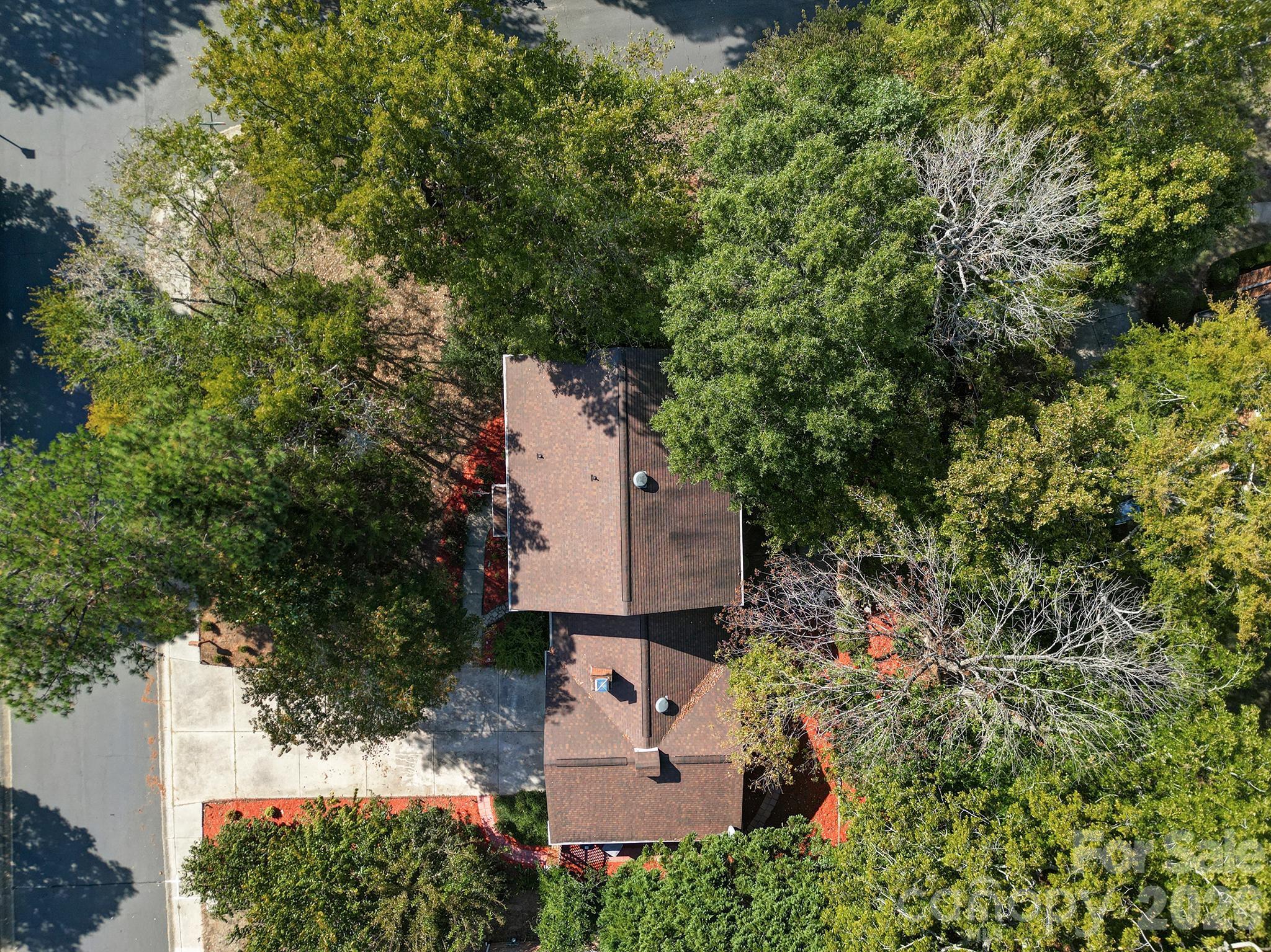 6134 Hickory Forest Drive Property Photo 42