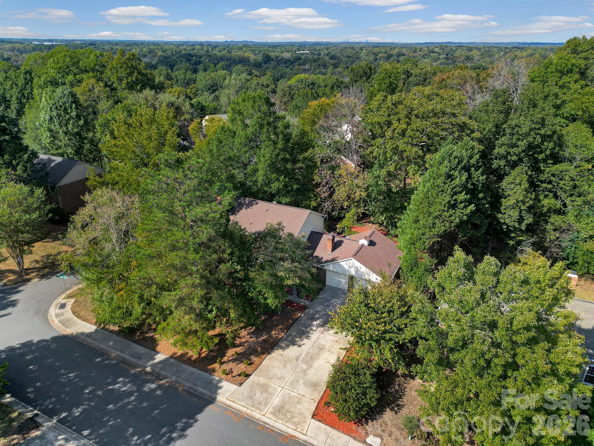 6134 Hickory Forest Drive Property Photo 43