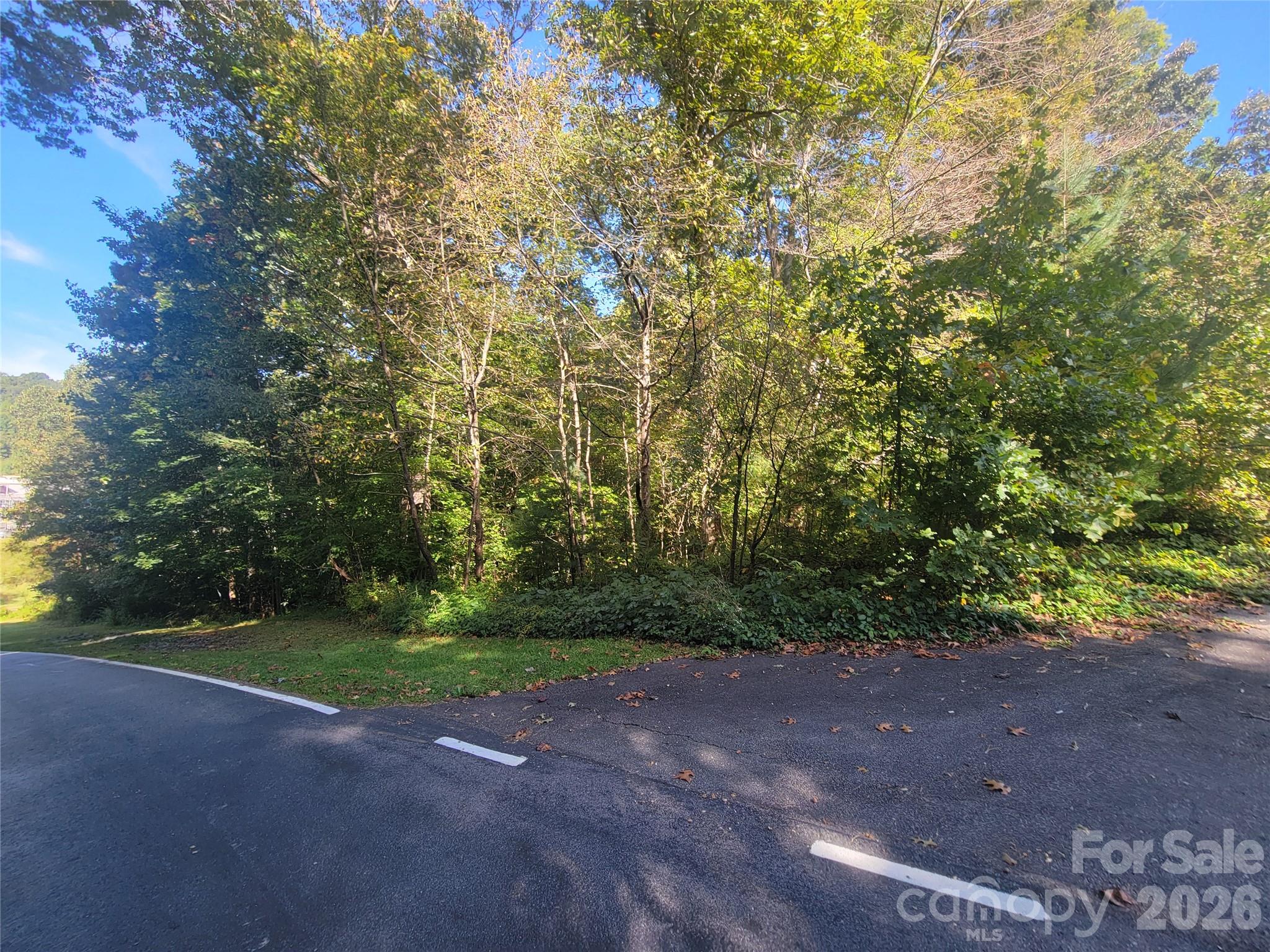 00 Liner Cove Road 00 Property Photo 14