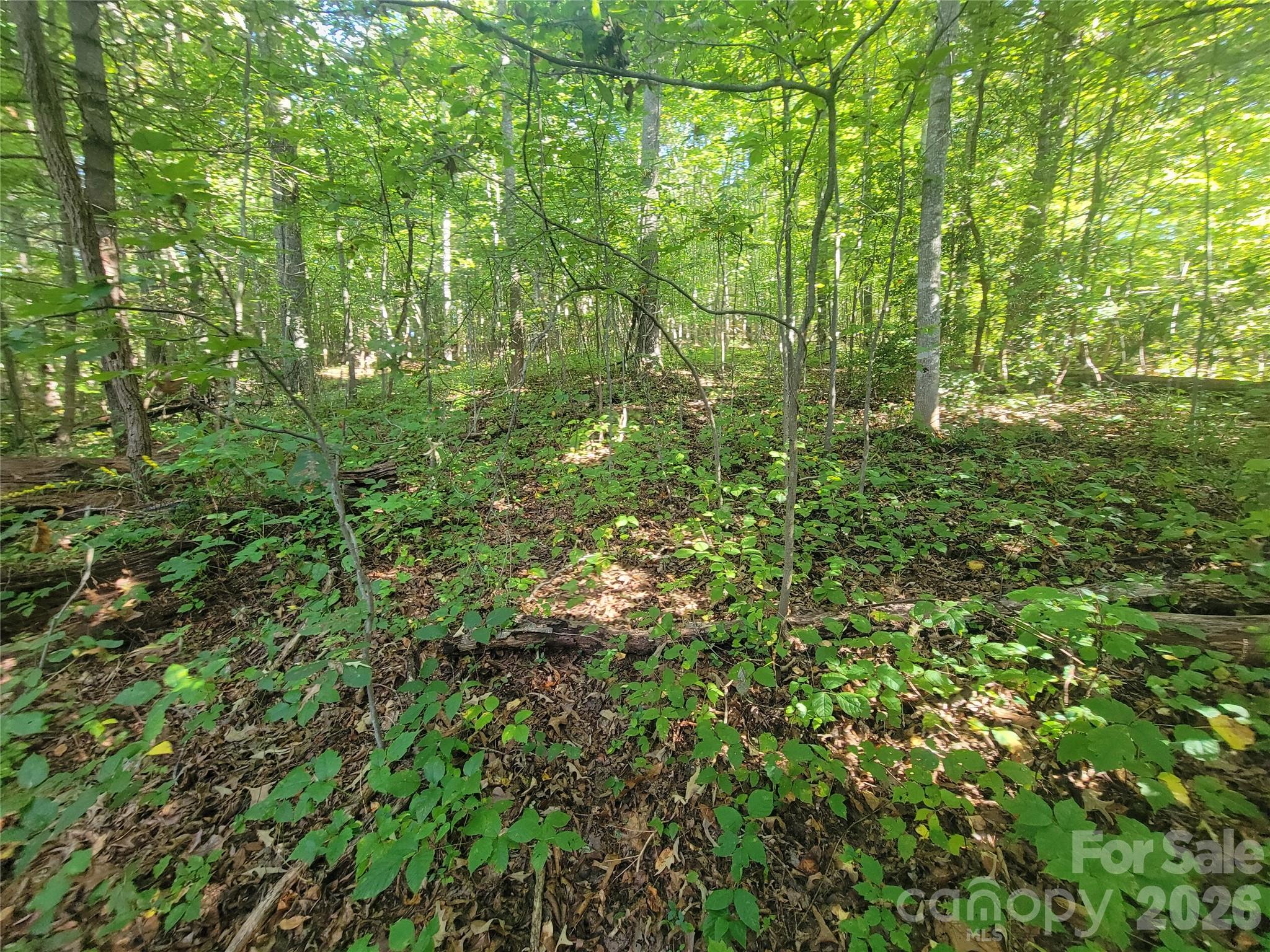 00 Liner Cove Road 00 Property Photo 15
