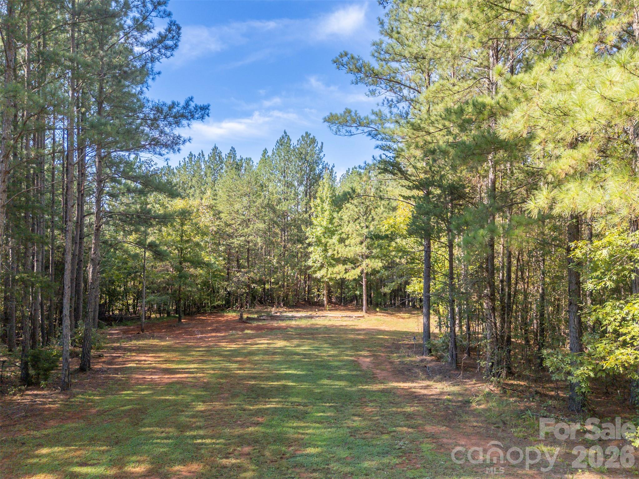 5238 Brooks Chapel Road Property Photo 45