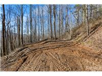 Tbd Happy Ridge Lane Property Photo 3