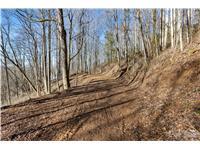 Tbd Happy Ridge Lane Property Photo 5