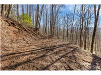 Tbd Happy Ridge Lane Property Photo 6