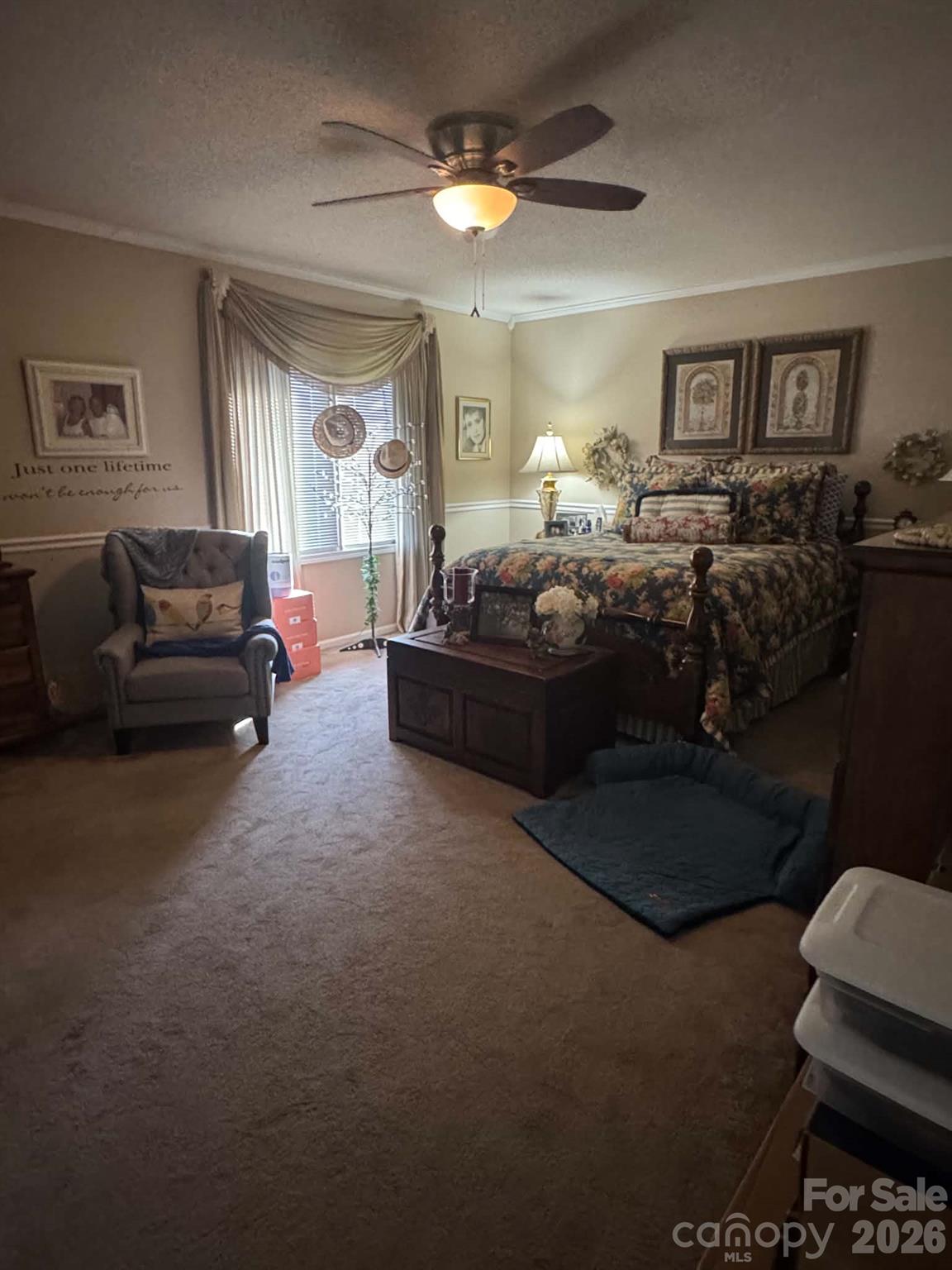 5231 Dusty Lane Property Photo 20