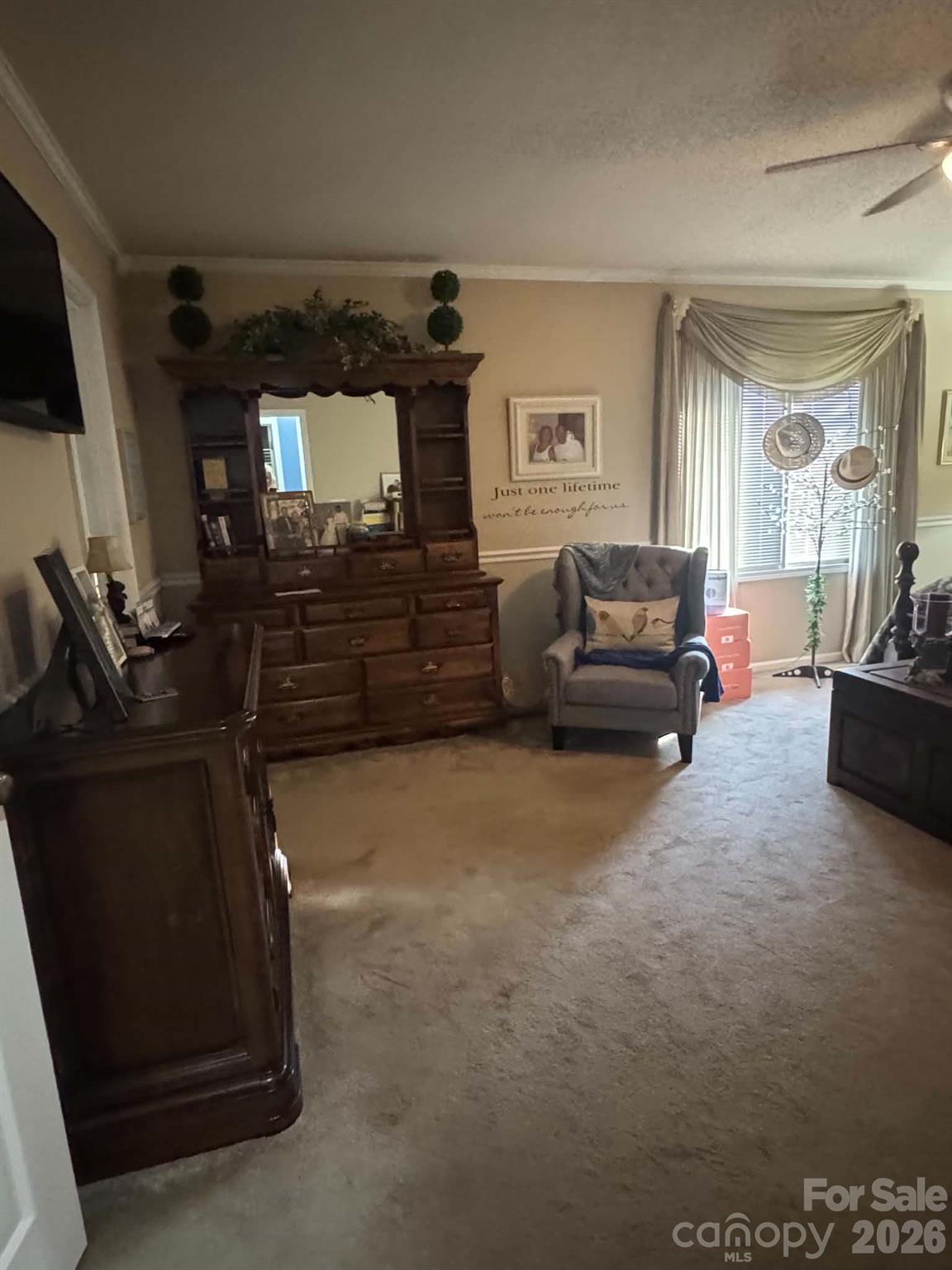 5231 Dusty Lane Property Photo 22