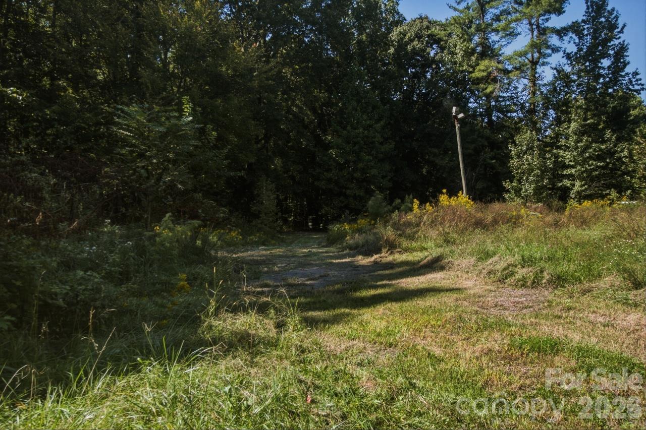 1443 Mt Ulla Highway 2 Property Photo 12