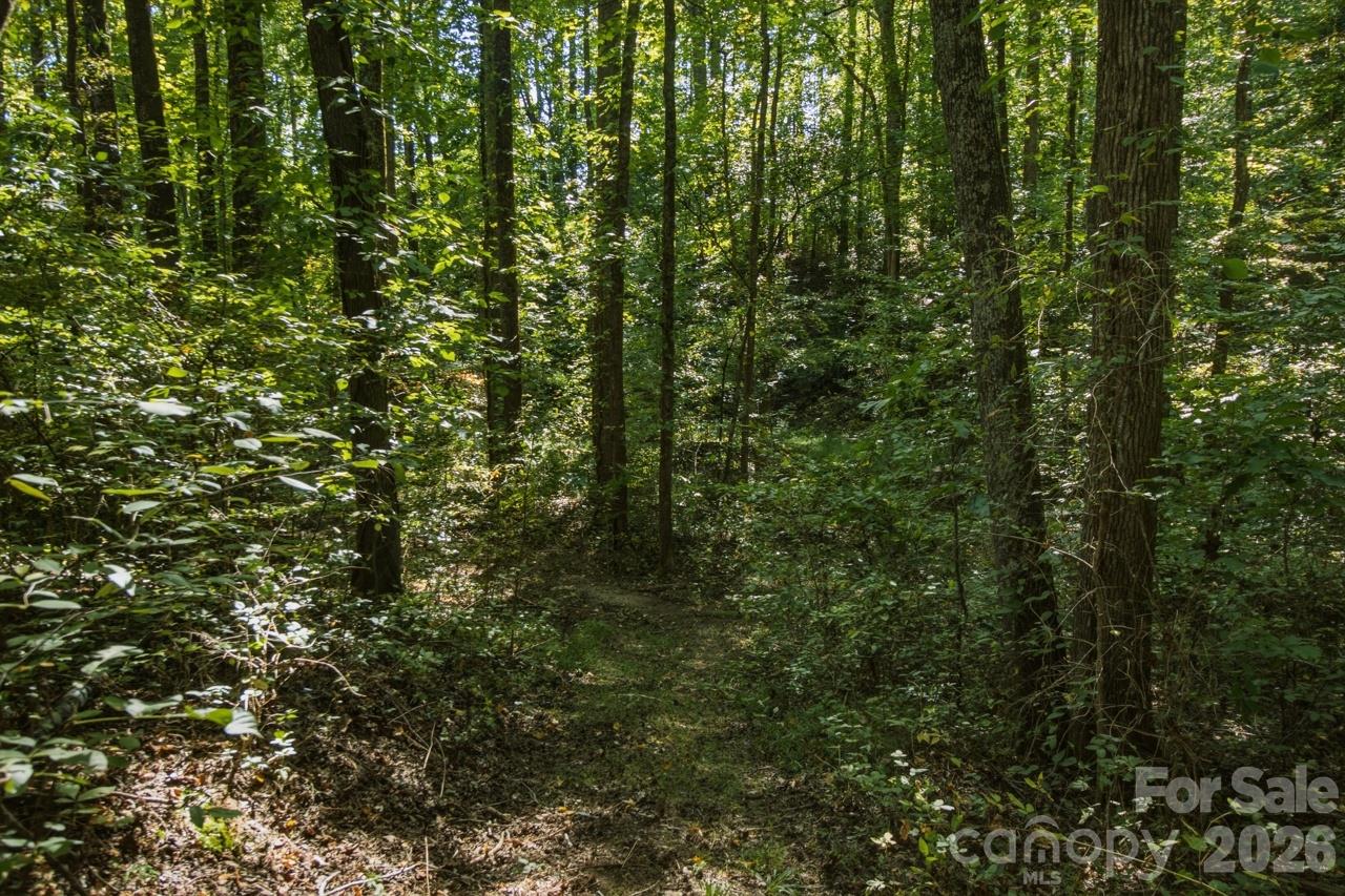 1443 Mt Ulla Highway 2 Property Photo 14