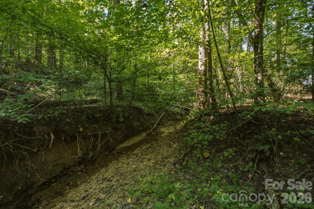 1443 Mt Ulla Highway 2 Property Photo 16