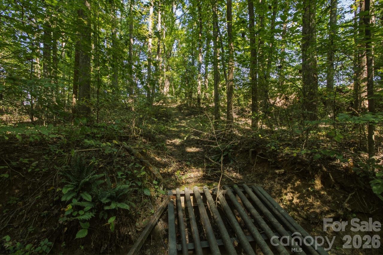1443 Mt Ulla Highway 2 Property Photo 19
