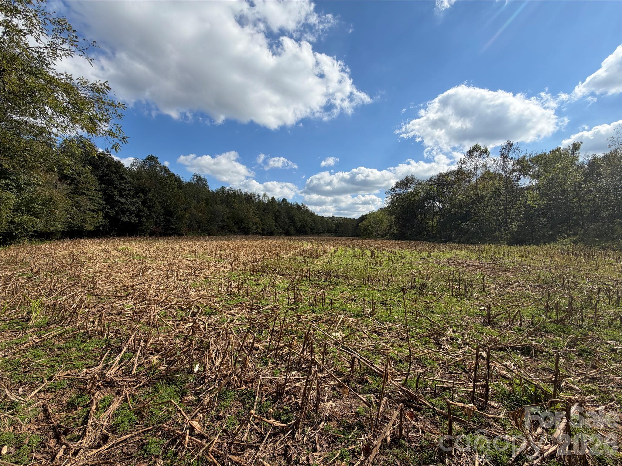 00 Jim Elliott Road Property Photo 4