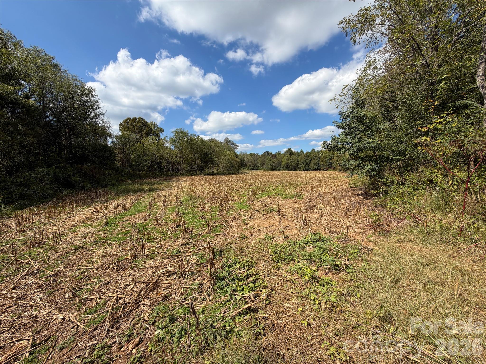 00 Jim Elliott Road Property Photo 7