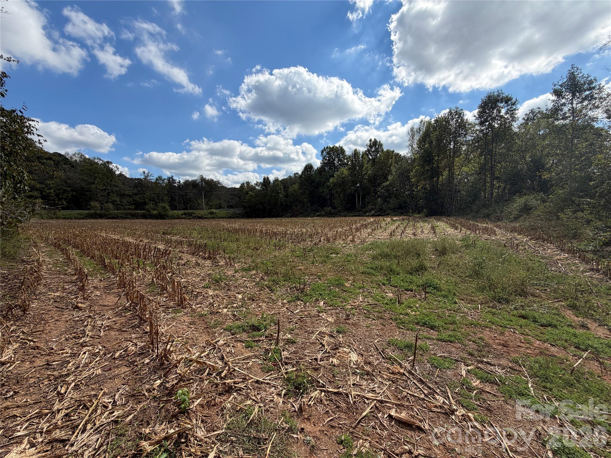 00 Jim Elliott Road Property Photo 8