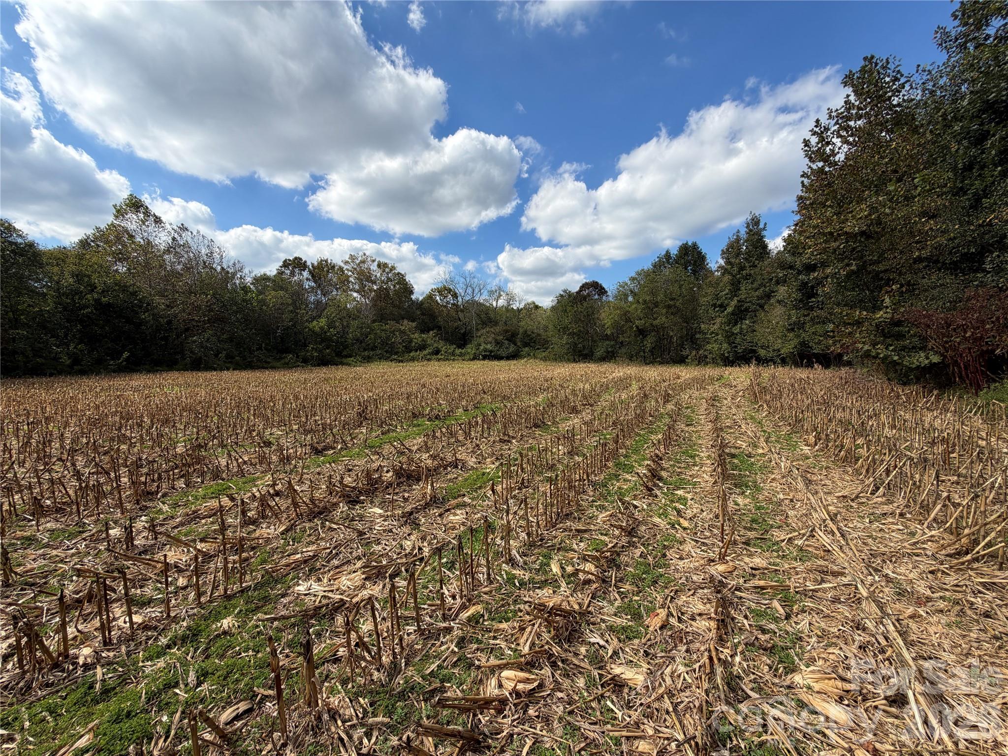 00 Jim Elliott Road Property Photo 14