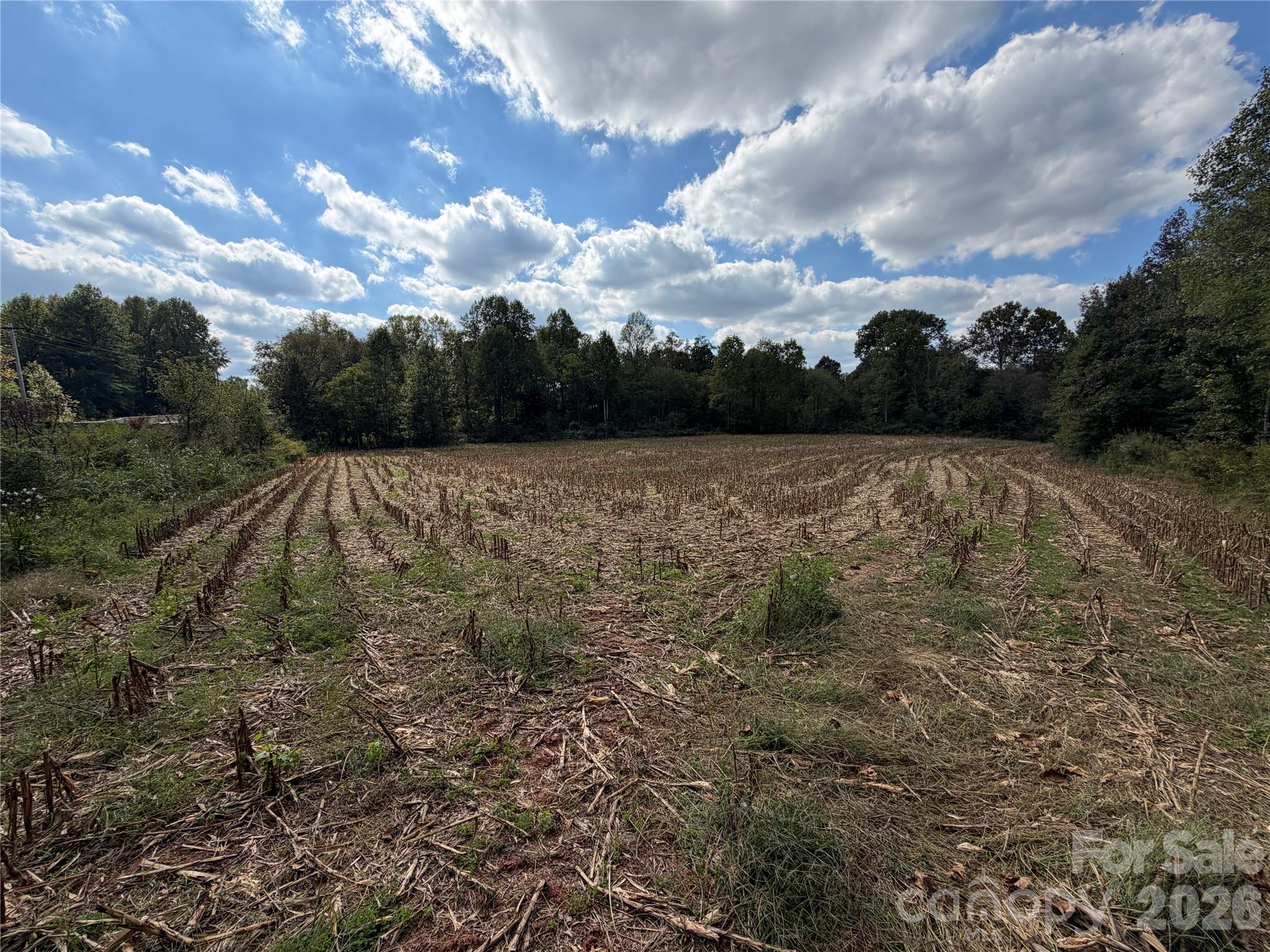00 Jim Elliott Road Property Photo 15
