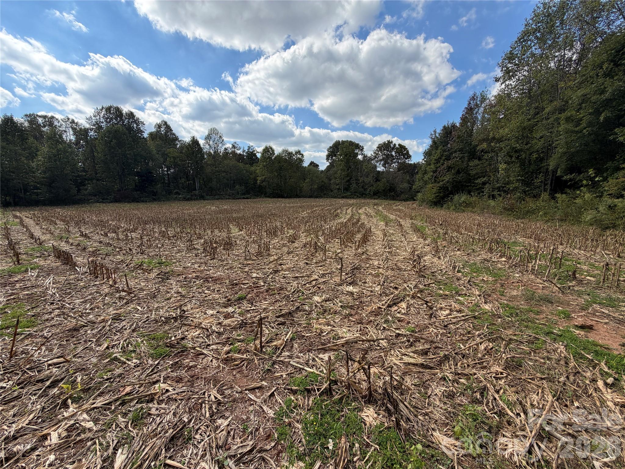 00 Jim Elliott Road Property Photo 16