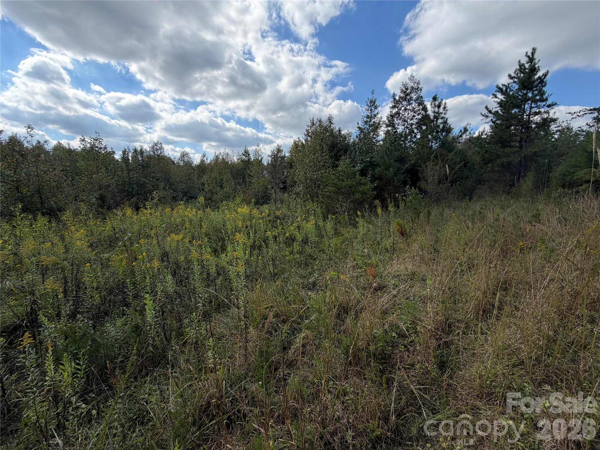 00 Jim Elliott Road Property Photo 17