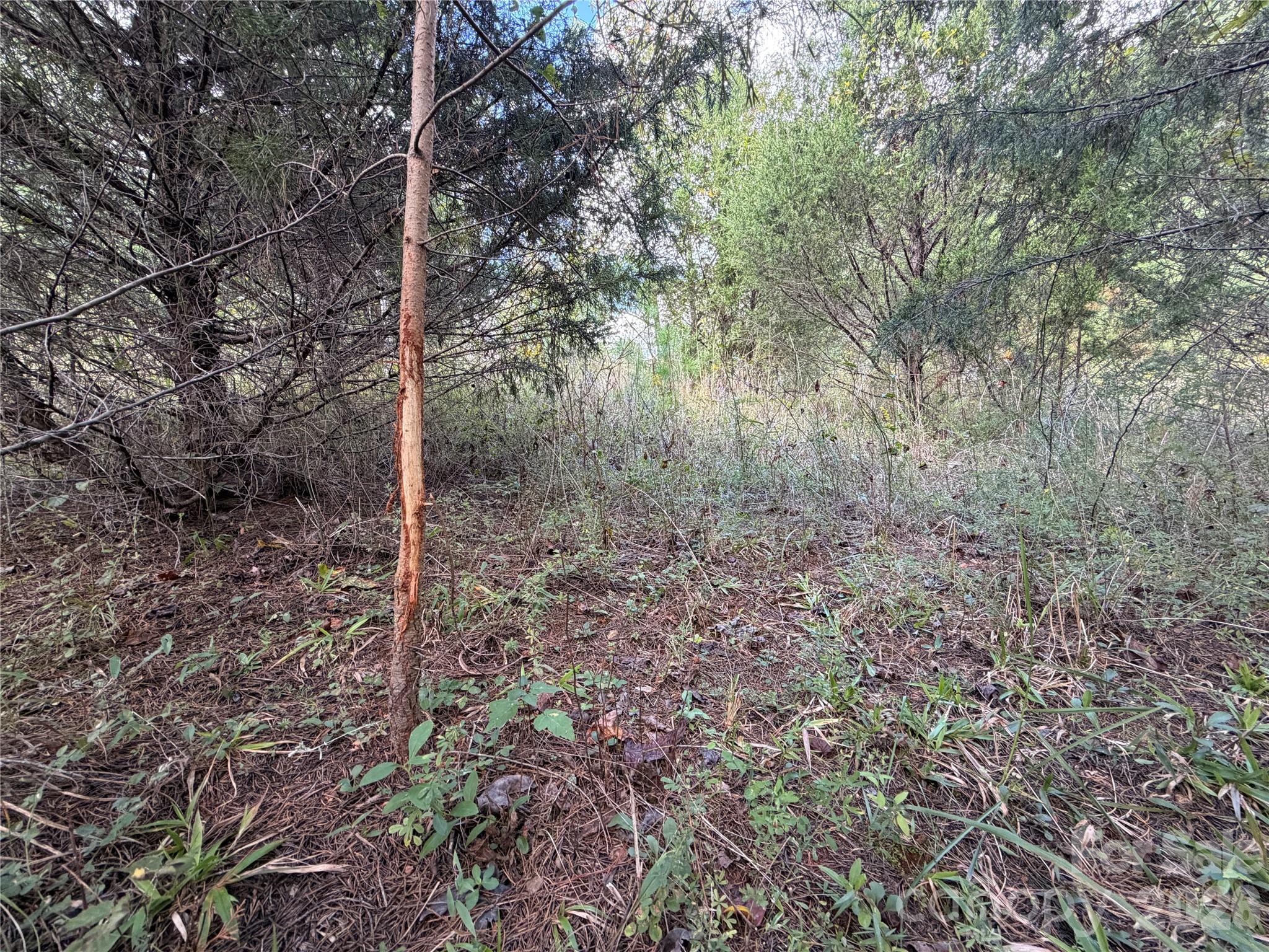 00 Jim Elliott Road Property Photo 18
