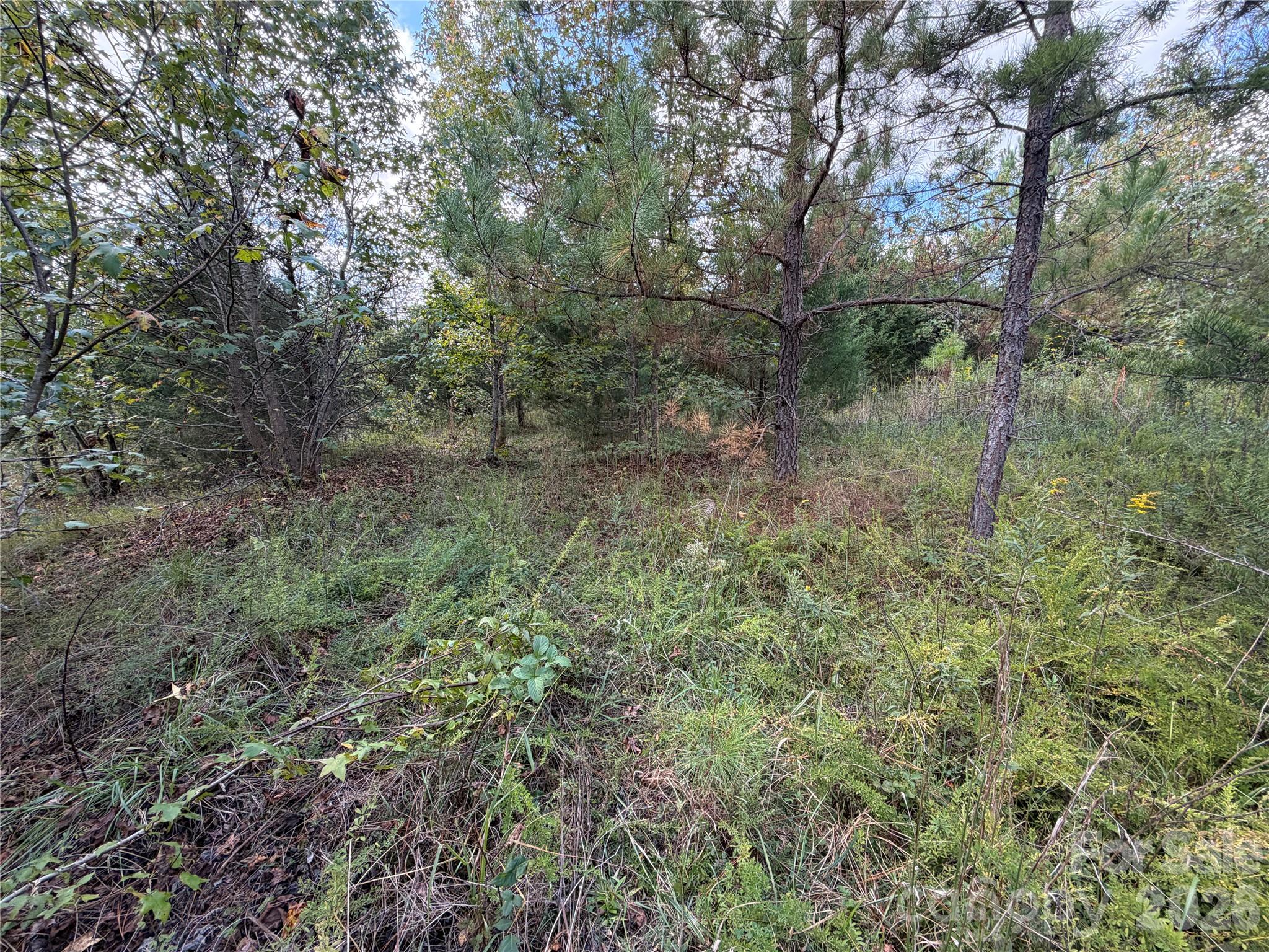 00 Jim Elliott Road Property Photo 19