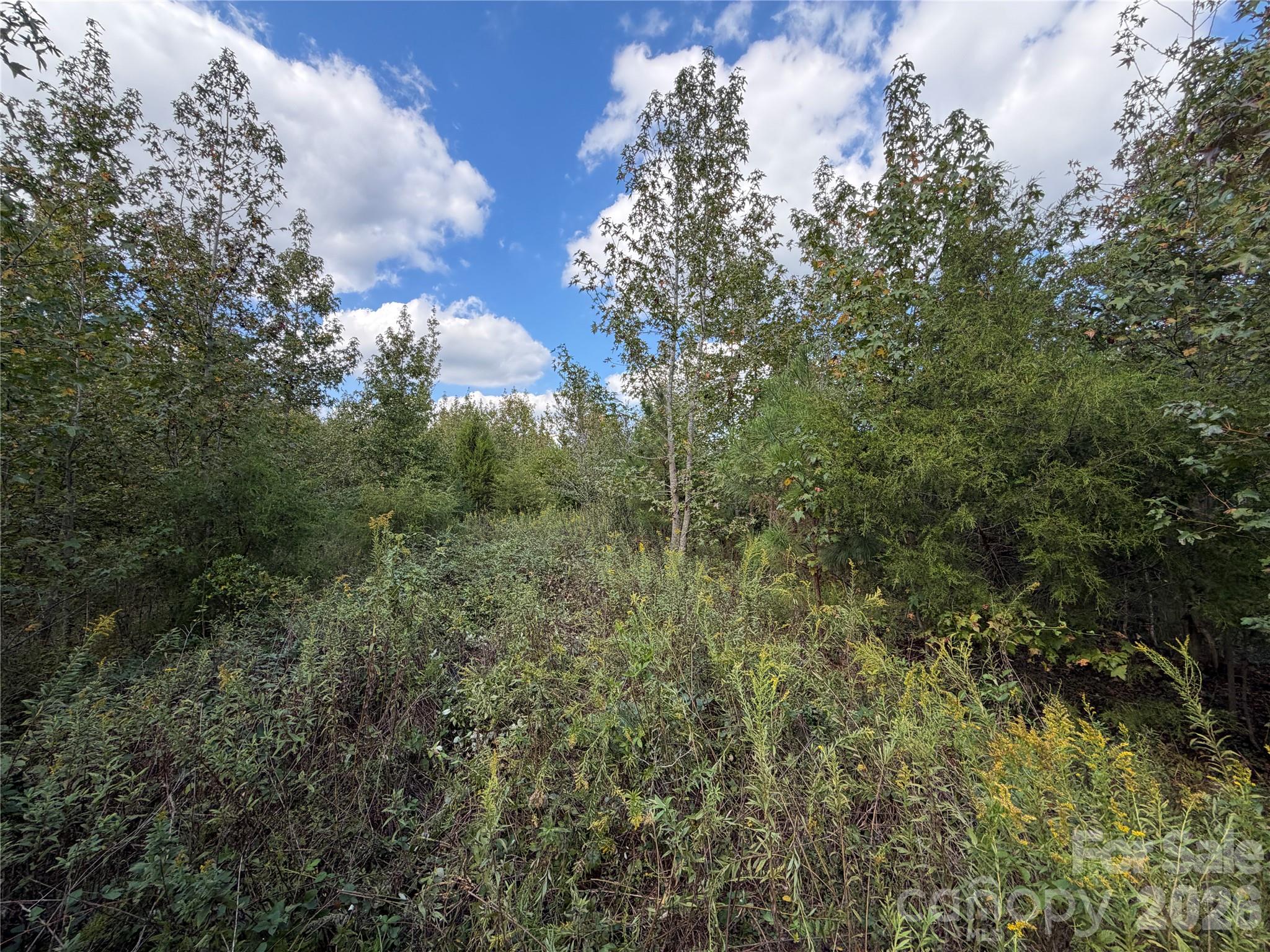 00 Jim Elliott Road Property Photo 20