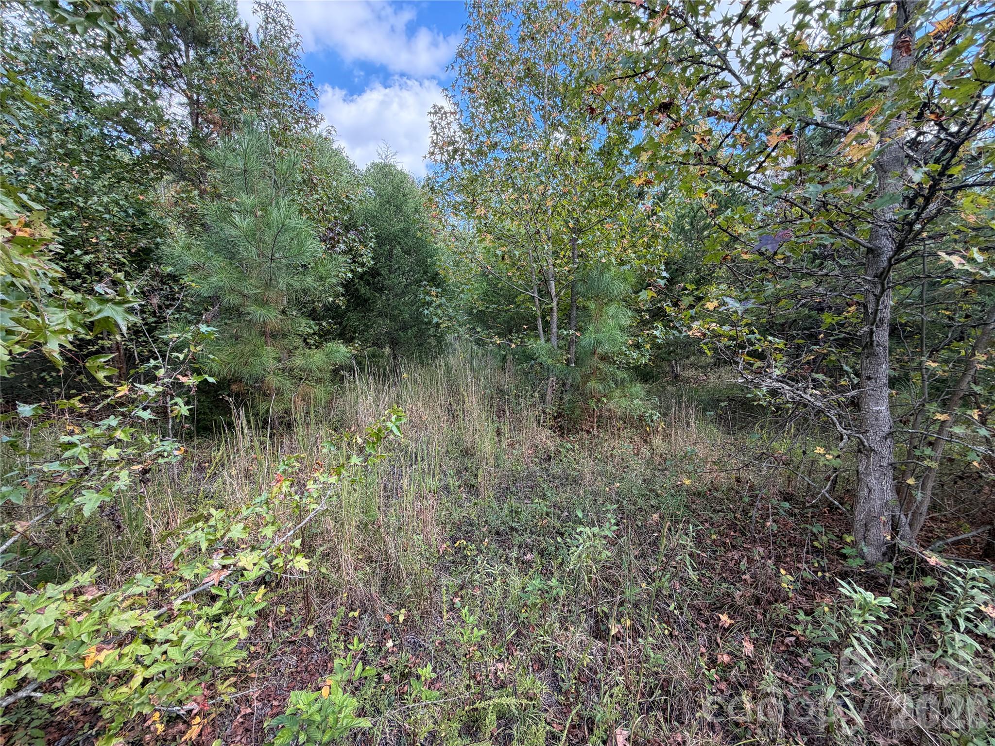 00 Jim Elliott Road Property Photo 21