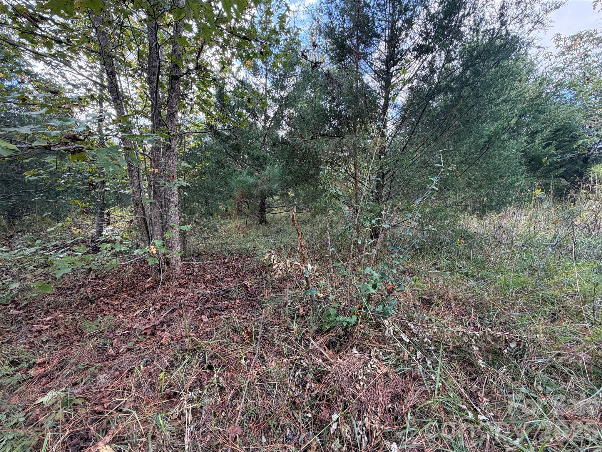 00 Jim Elliott Road Property Photo 22