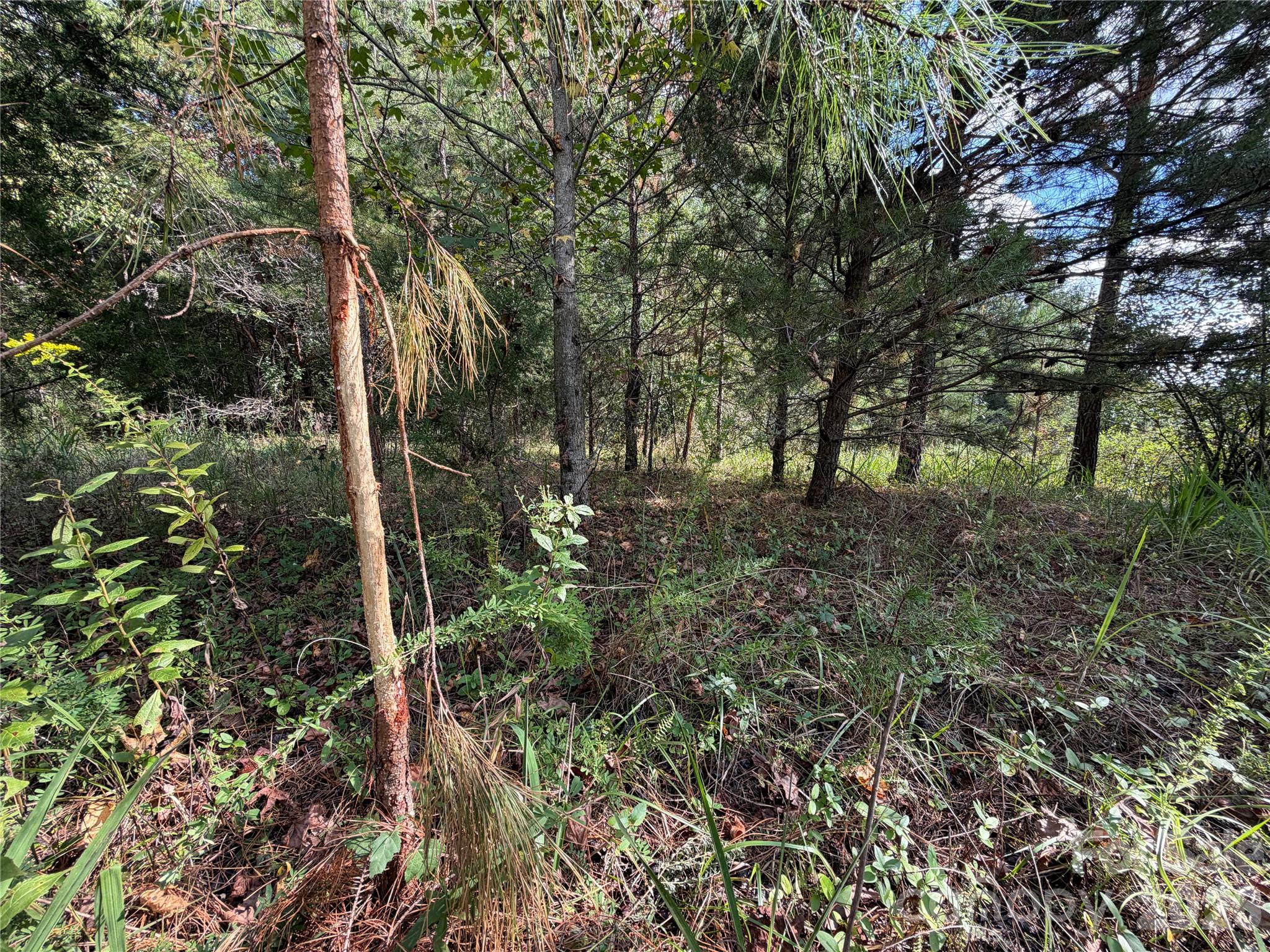 00 Jim Elliott Road Property Photo 23