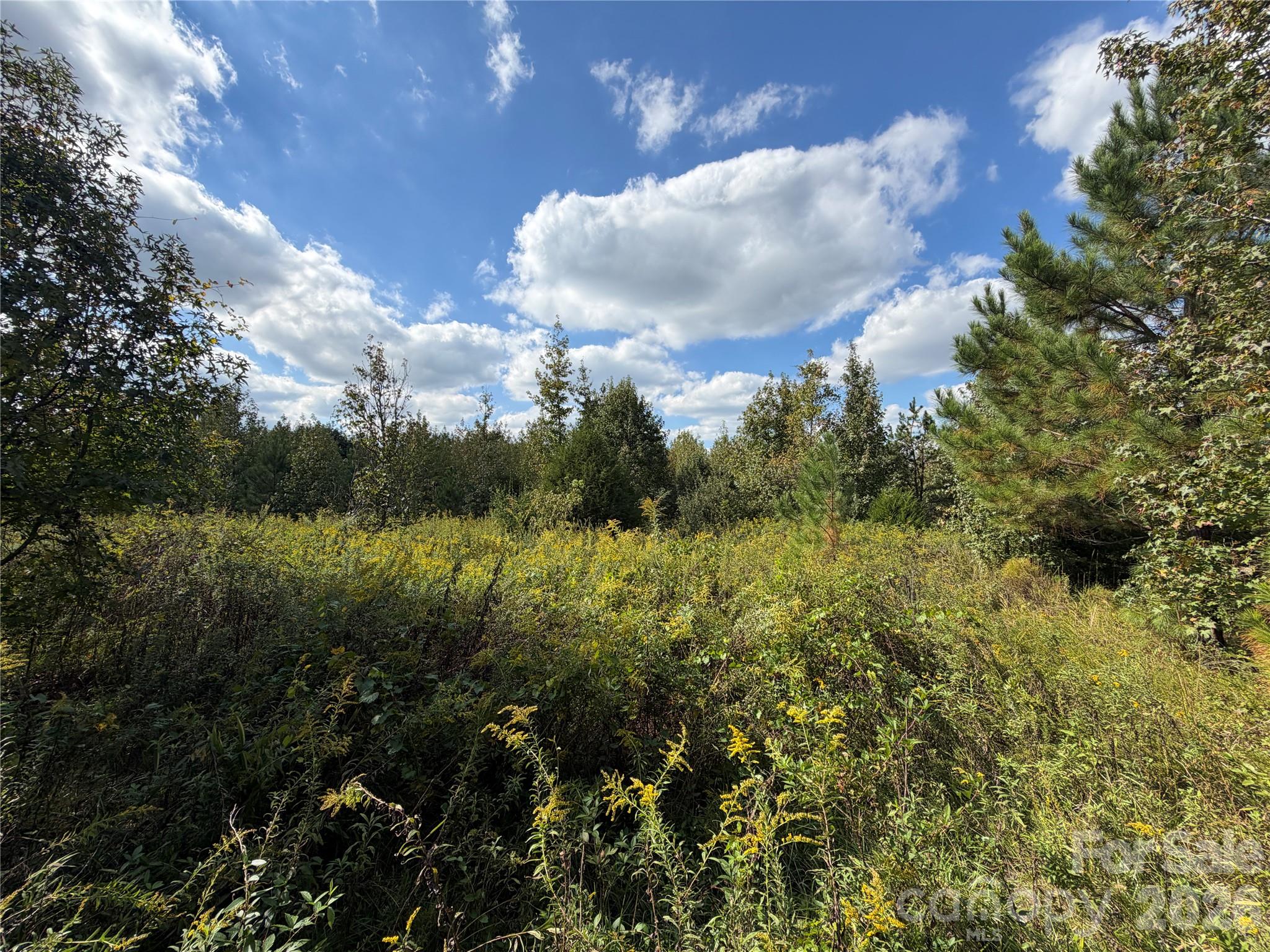 00 Jim Elliott Road Property Photo 24