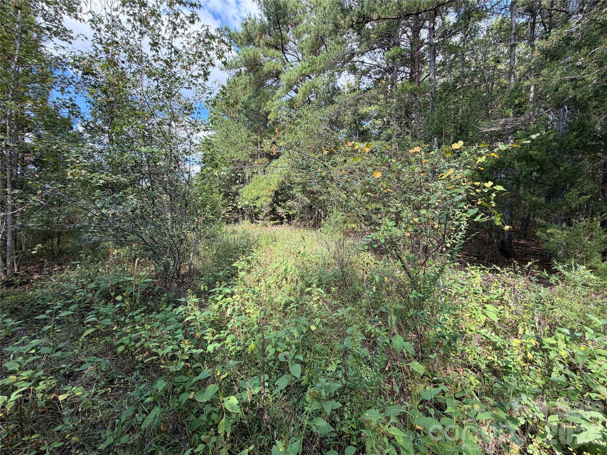 00 Jim Elliott Road Property Photo 25
