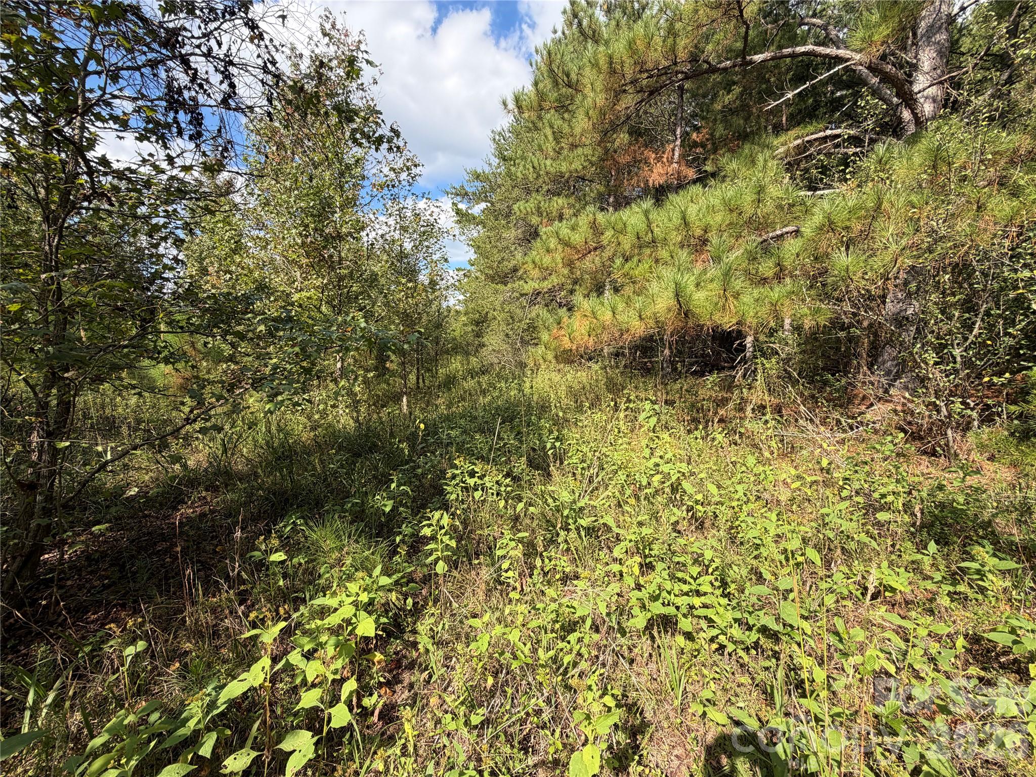 00 Jim Elliott Road Property Photo 26