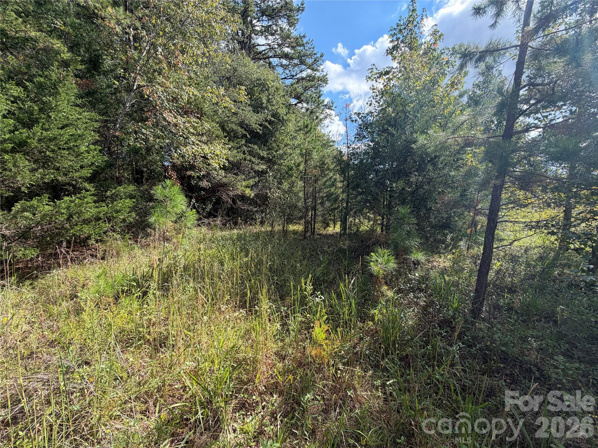 00 Jim Elliott Road Property Photo 27