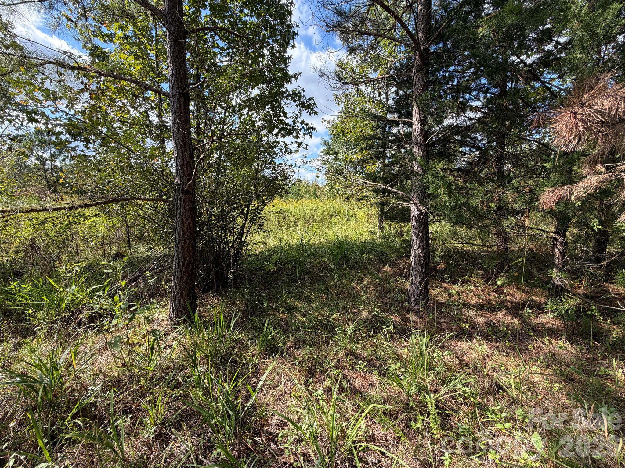 00 Jim Elliott Road Property Photo 28
