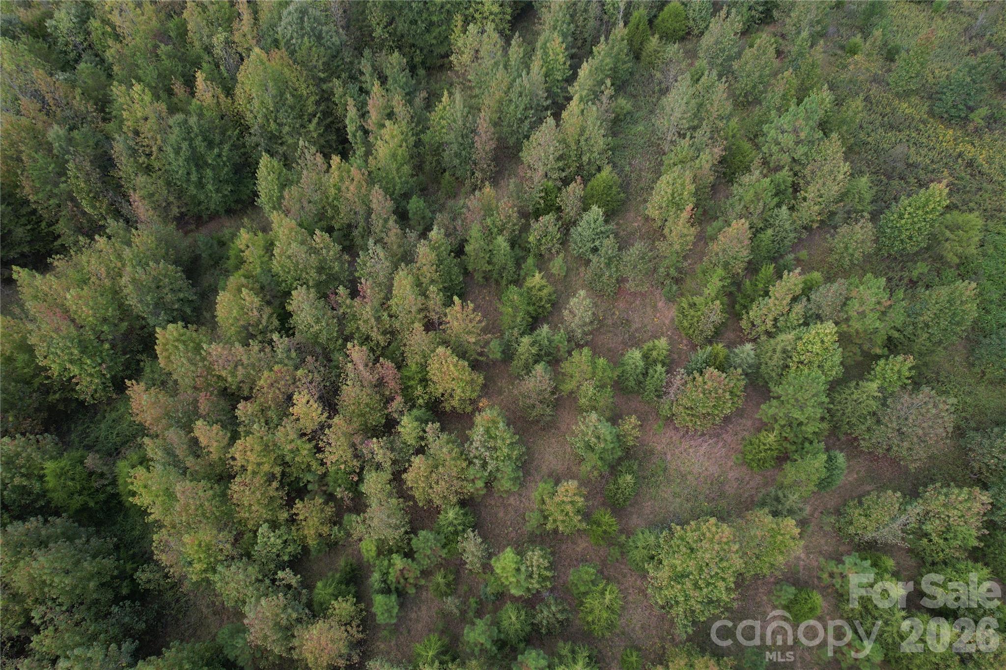 00 Jim Elliott Road Property Photo 34