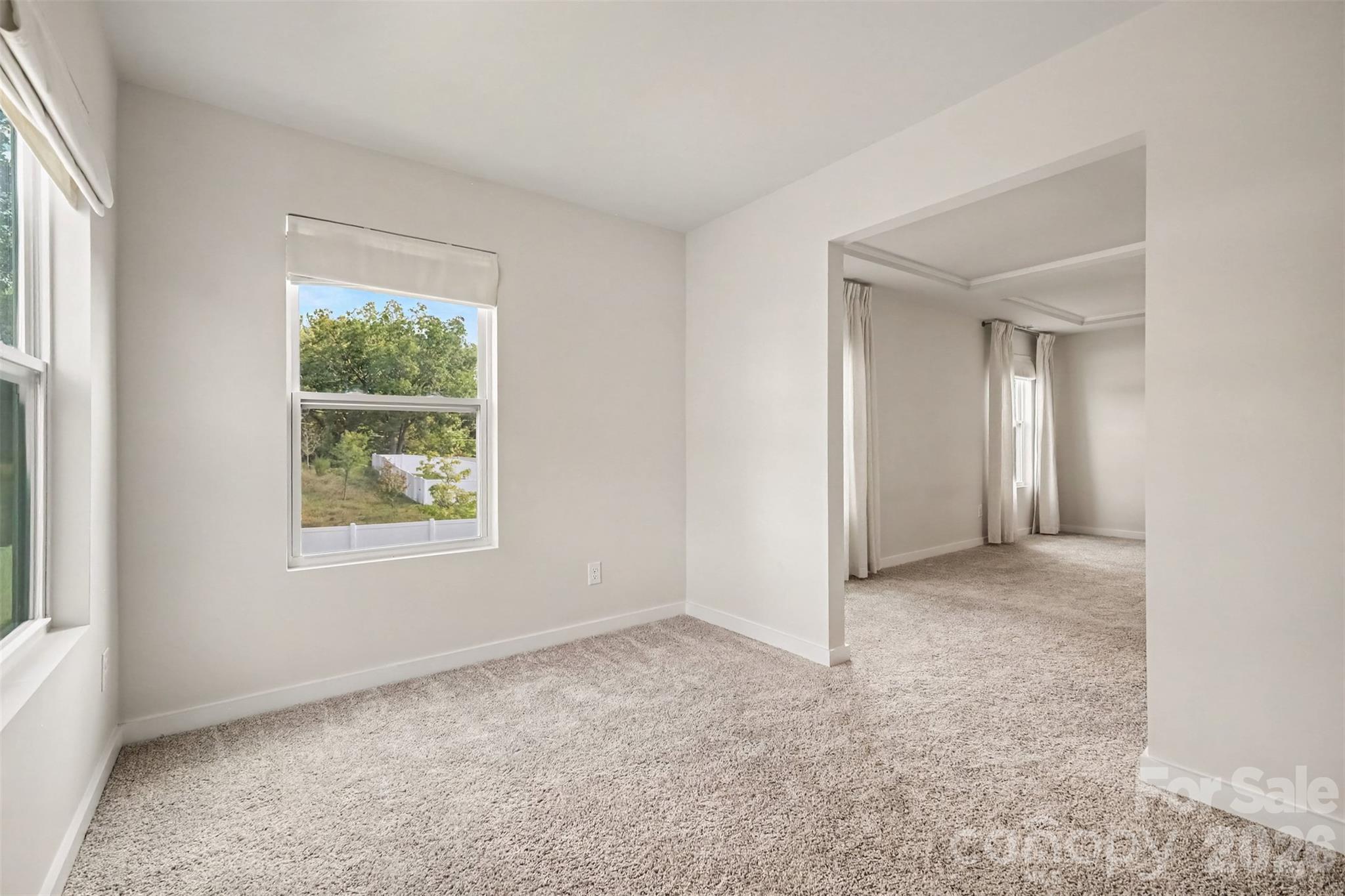 14107 Belmont Greene Drive Property Photo 29