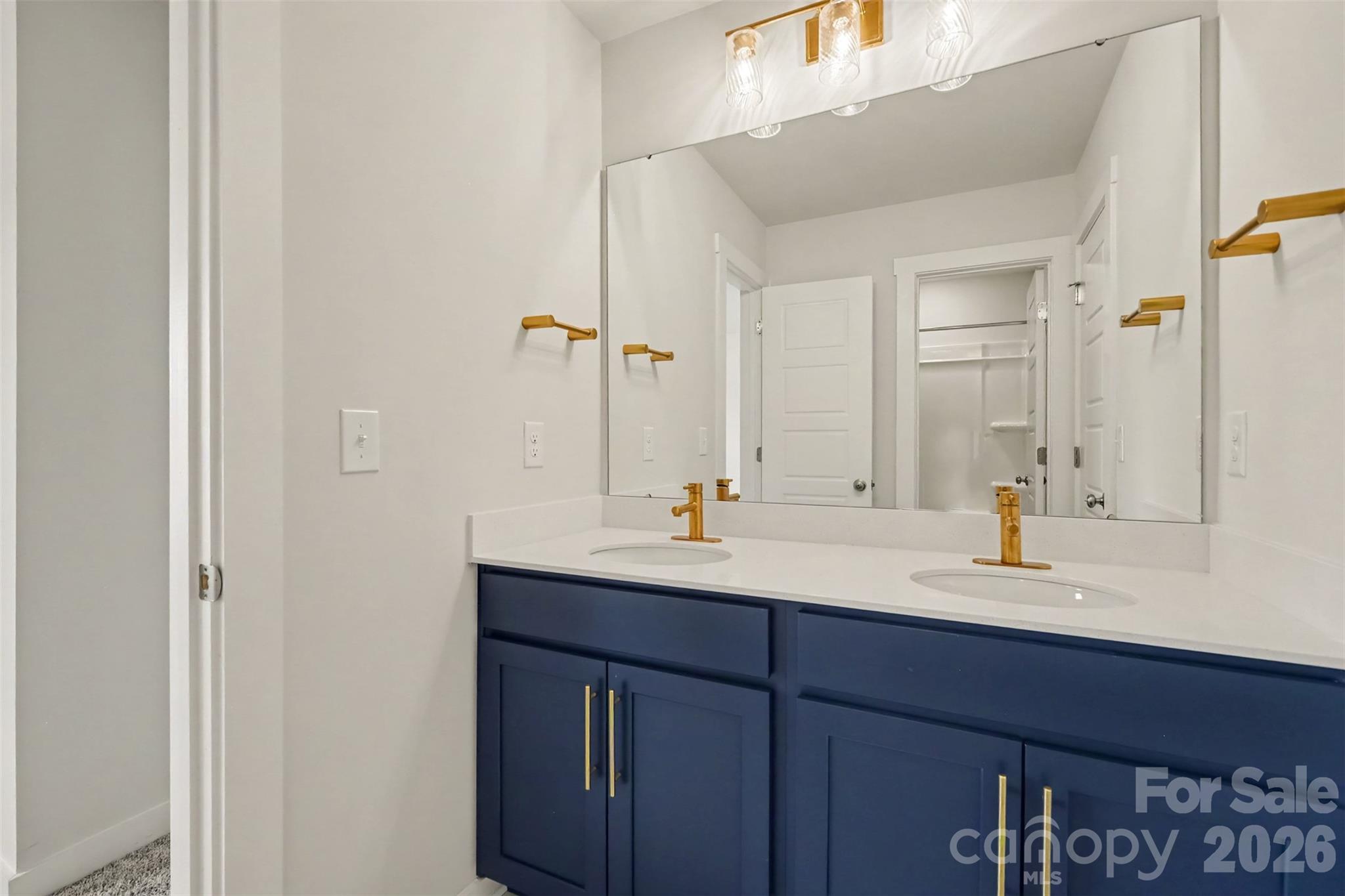 14107 Belmont Greene Drive Property Photo 41