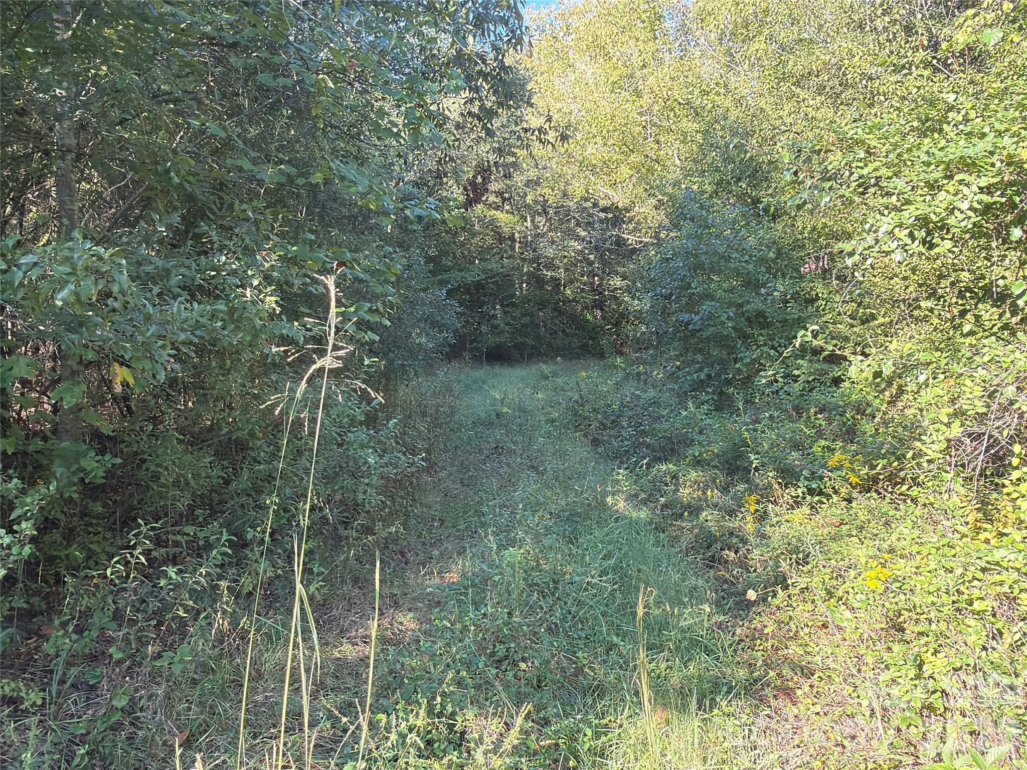 00 Gantts Grove Church Road Property Photo 17