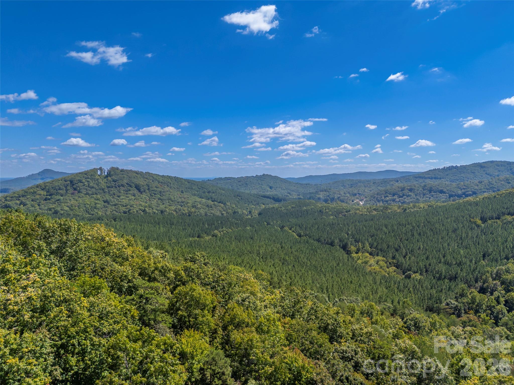 642 Mountain Lookout Drive Property Photo 43