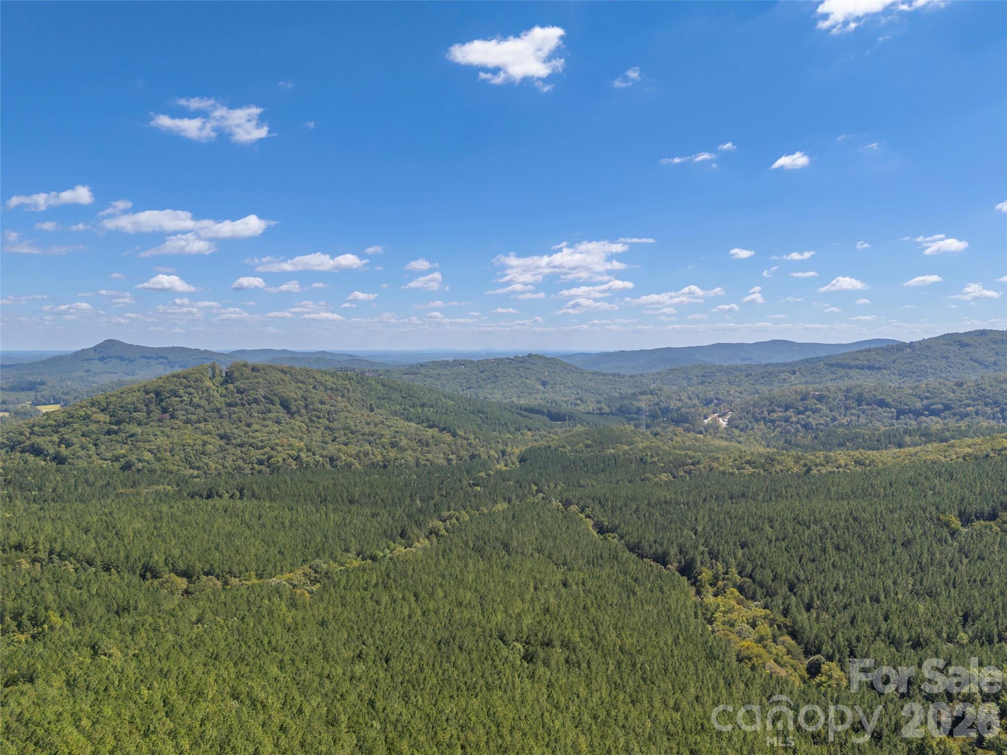642 Mountain Lookout Drive Property Photo 44