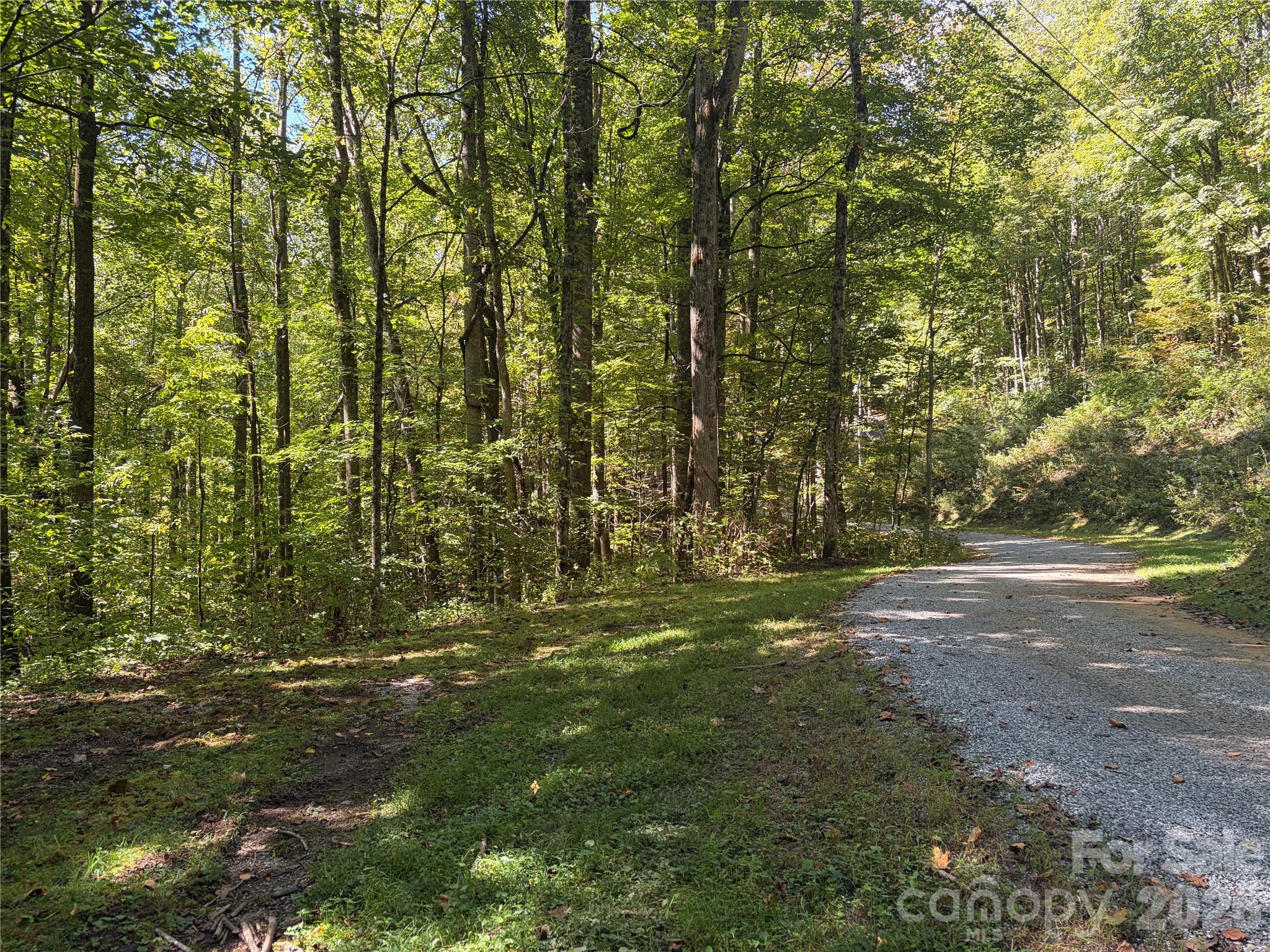 14 Fern Trail 14 Property Photo 4