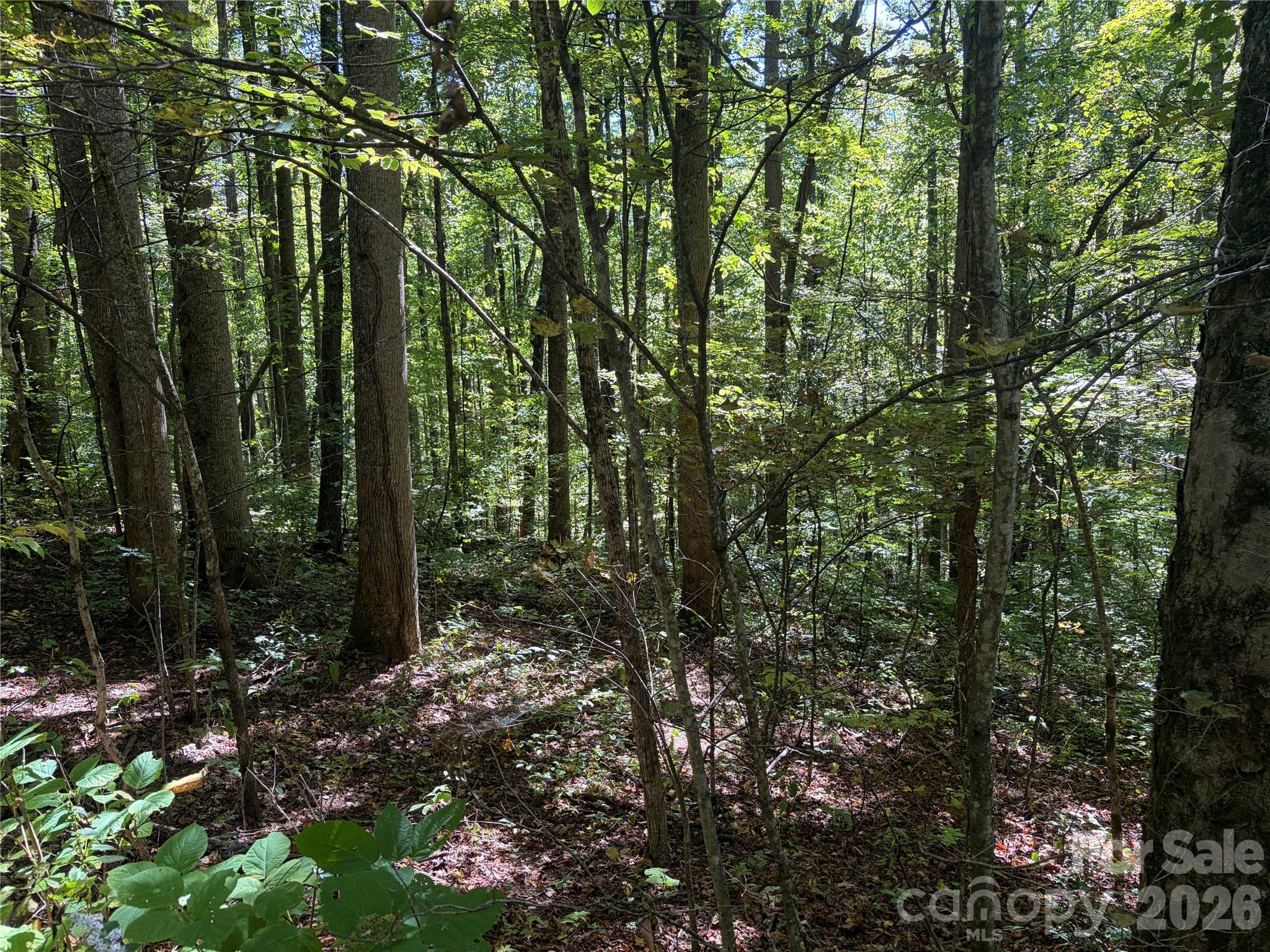 14 Fern Trail 14 Property Photo 5