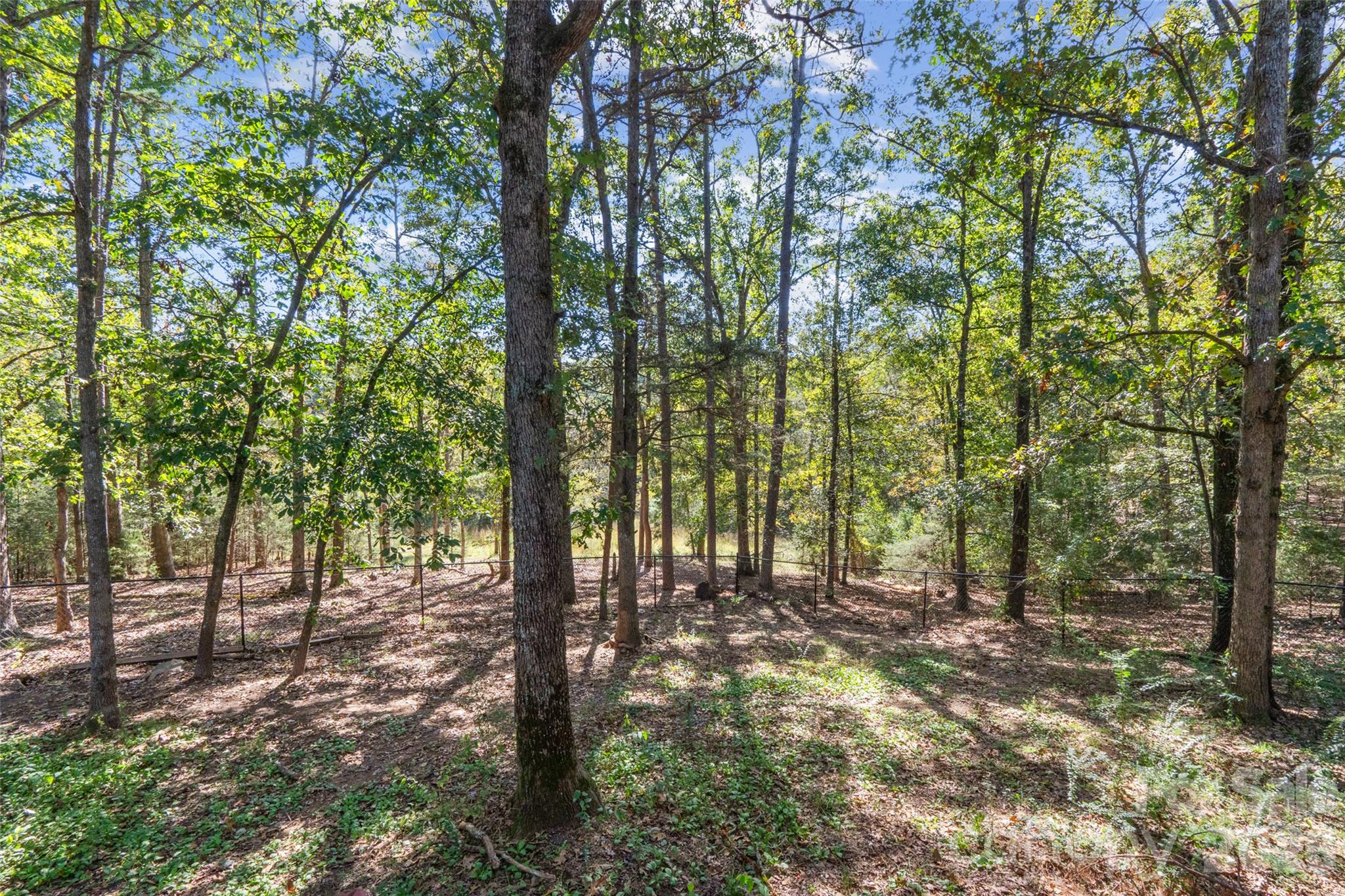 6010 River Run Drive Property Photo 42