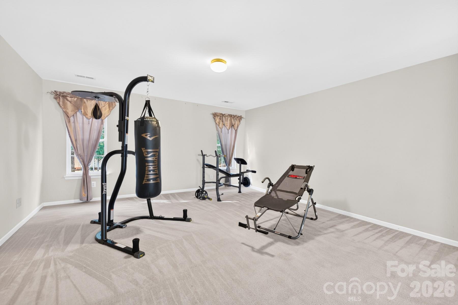2502 Sandy Ridge Lane Property Photo 29