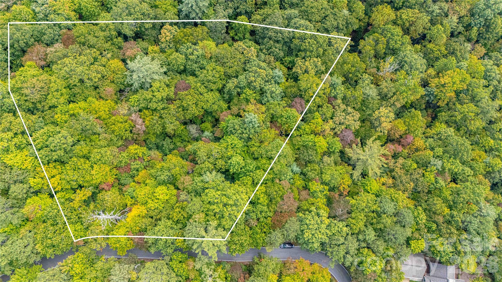 49r Quartz Mine Road 49r Property Photo 4