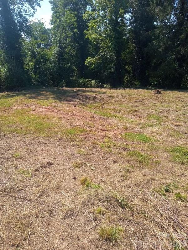 116 Starnes Cove Road Property Photo 2
